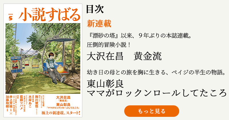 小説すばる - 集英社